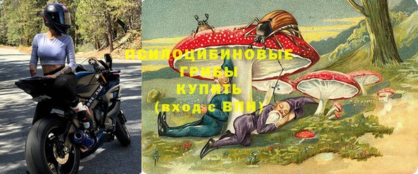 МДПВ Аркадак