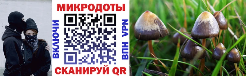 Галлюциногенные грибы Magic Shrooms  дарк нет формула  Гурьевск 