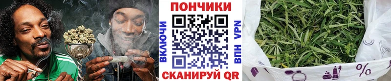 продажа наркотиков  Гурьевск  Канабис Amnesia 